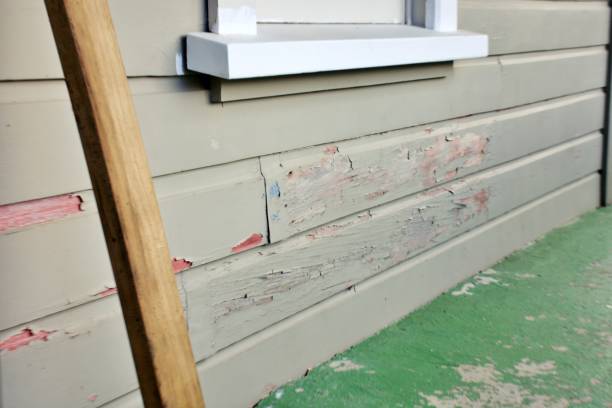 Best Hoarding Cleanup  in Edina, MO